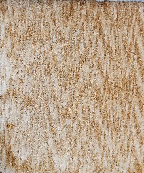 Mustard Toloz - Image 1