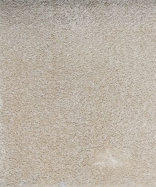 VIVA Ventures_1 VIVA Ventures_1